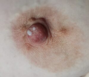 image of female lactating nipple with drops of milk